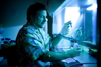 <strong>BRANDON WONG |</strong> Staff Photographer<br>Bruce Blumberg examines cow serum tested for additives in order to figure out which type best supports the growth of fat cells.