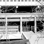NEWSbanner4