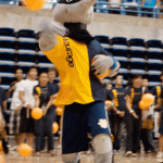 PeterBall