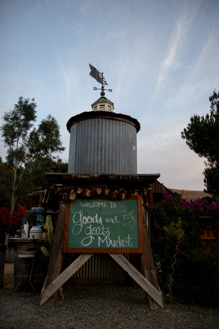 Spice Up Yoga With … Goats