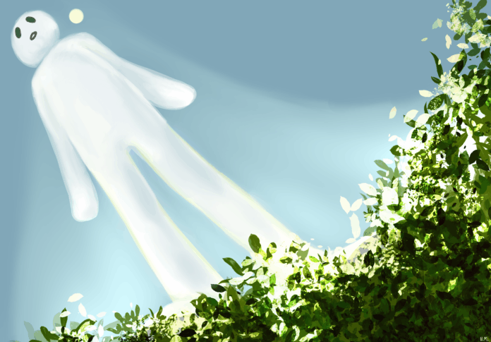 A figure stands in the sunlit grass as the sun shines on them from above.